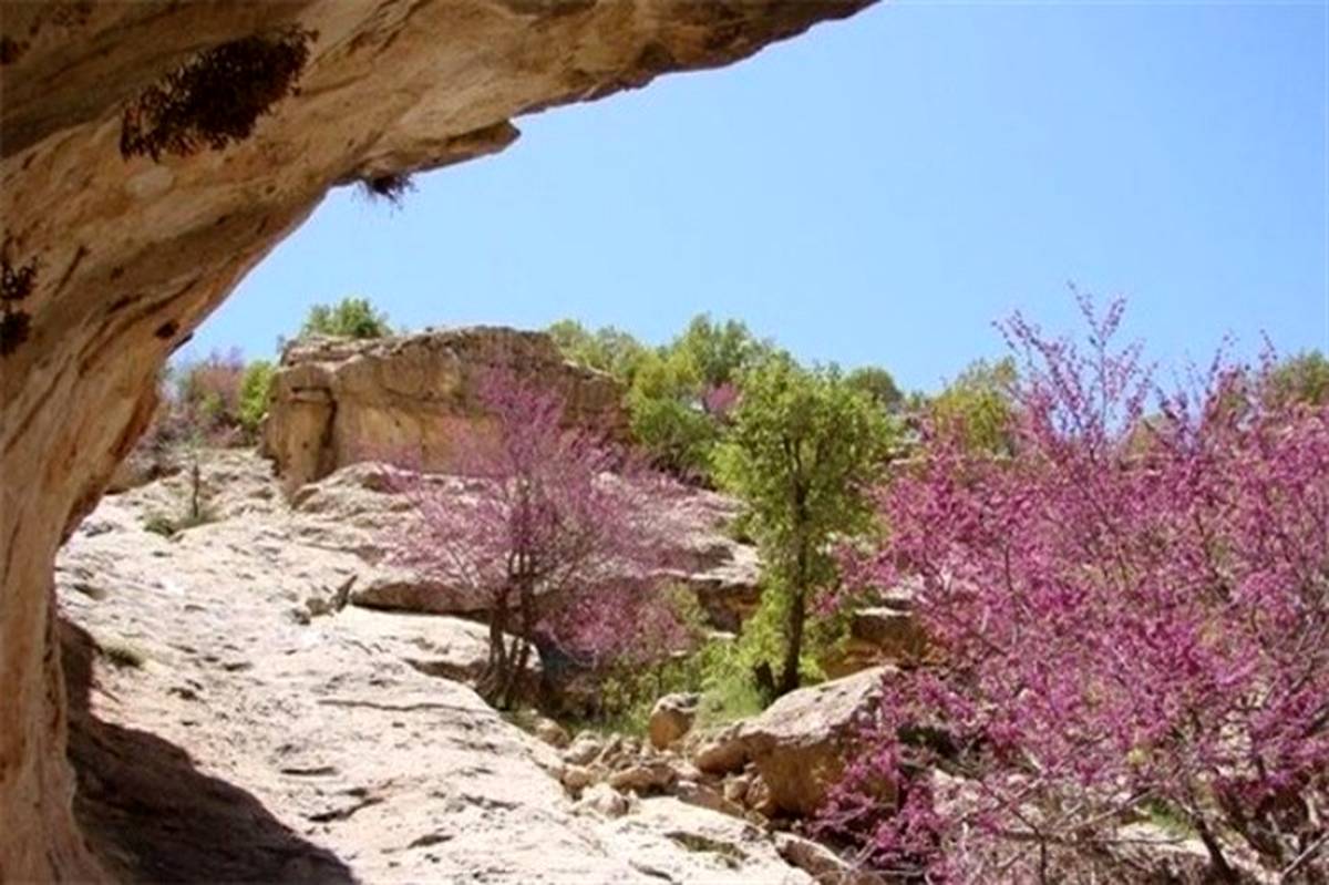 افزایش ۴۰ درصدی حضور مسافران و گردشگران خارجی در ایلام