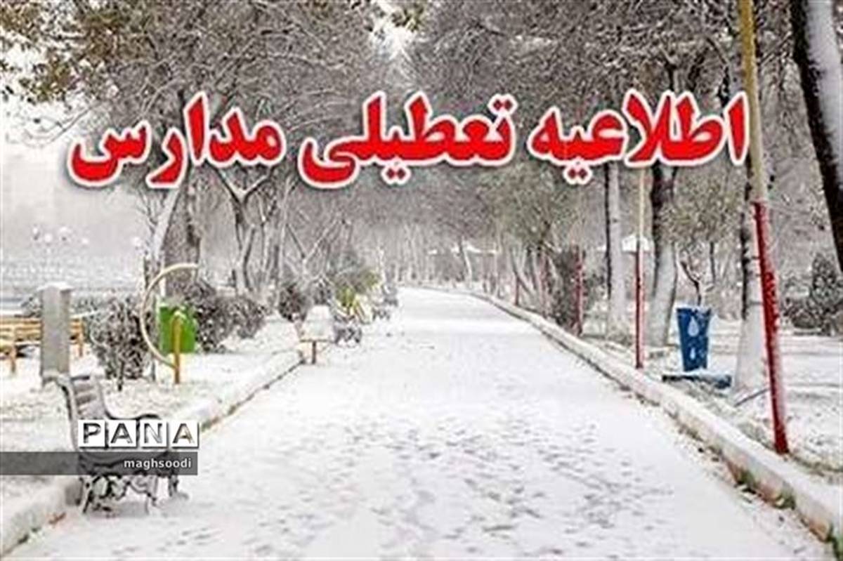 بارش برف موجب تعطیلی بسیاری از مدارس فارس شد