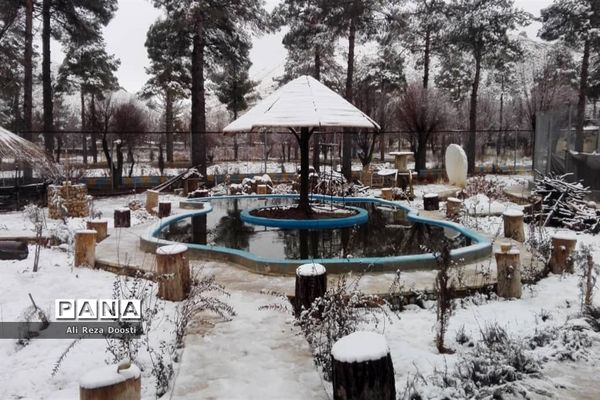 بارش نخستین برف زمستانی در شیراز