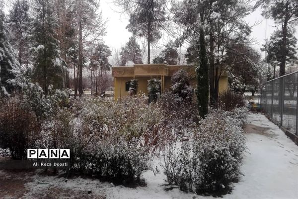 بارش نخستین برف زمستانی در شیراز