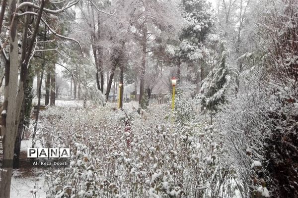 بارش نخستین برف زمستانی در شیراز