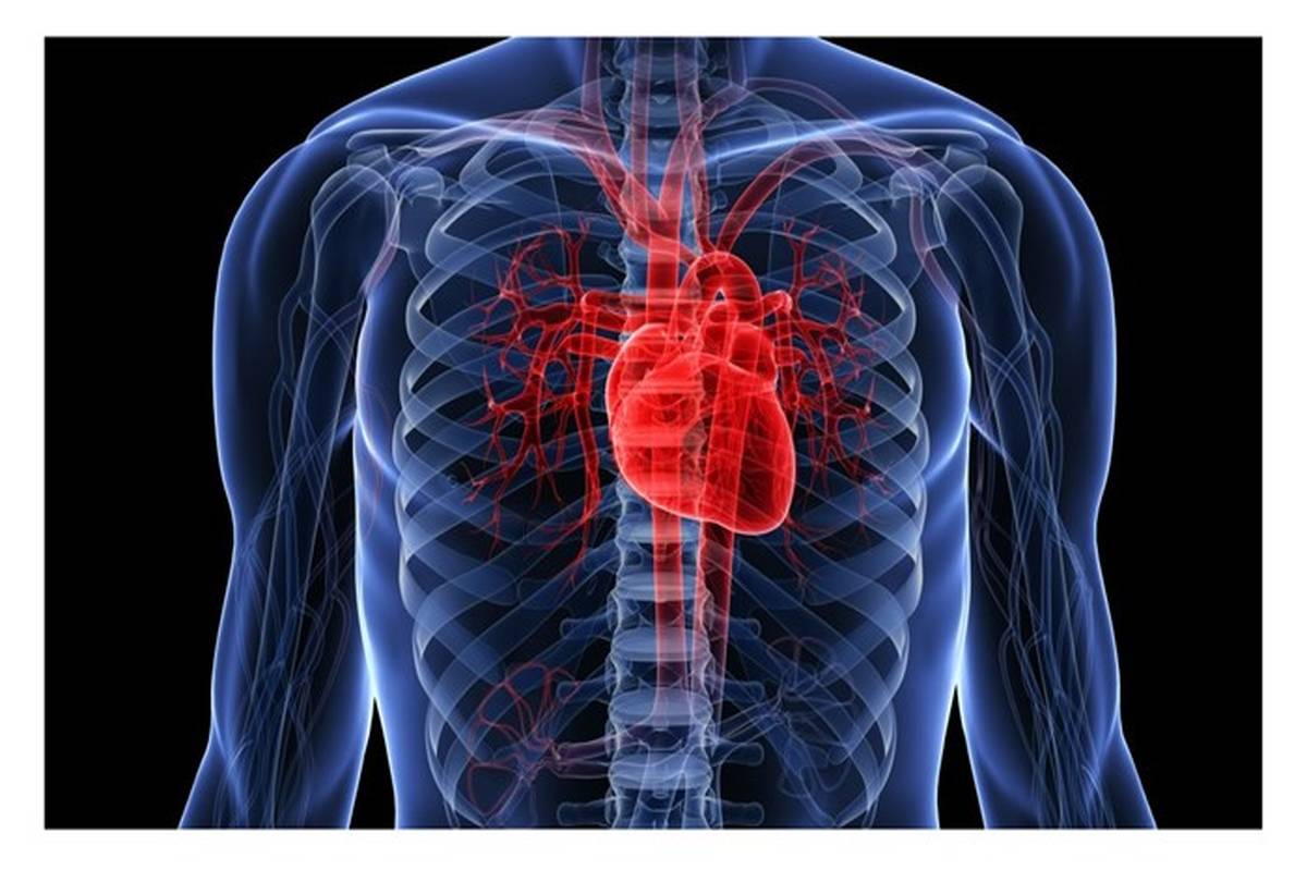 بیماری‌های قلبی عروقی عامل بیش از 43 درصد از مرگ و میر زنجانی‌ها
