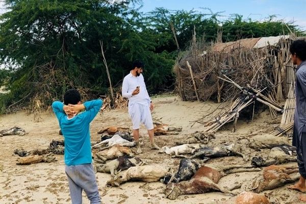 خسارت سنگین سیلاب به جنوب سیستان و بلوچستان