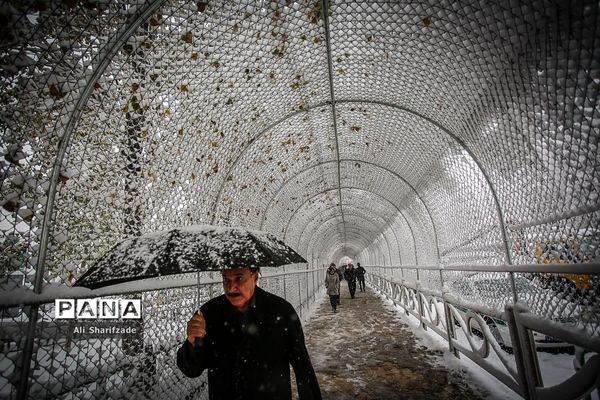 بارش برف زمستانی در تهران