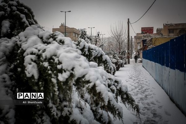 بارش برف زمستانی در تهران