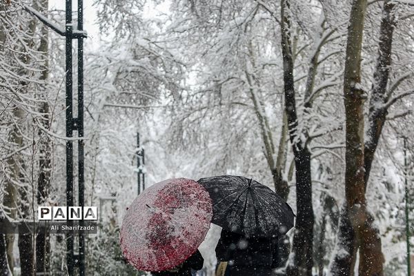 بارش برف زمستانی در تهران