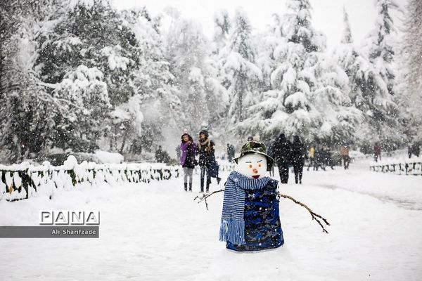 بارش برف زمستانی در تهران