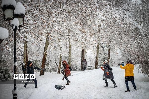 بارش برف زمستانی در تهران