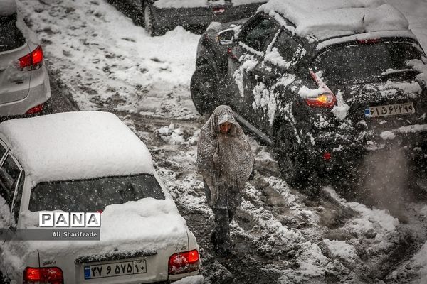 بارش برف زمستانی در تهران