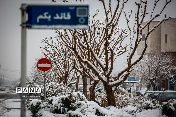 بارش برف زمستانی در تهران