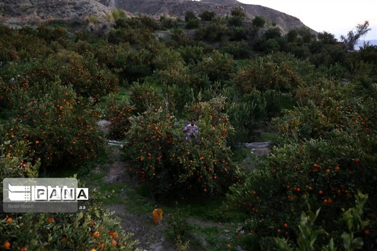 ۲ روستای الیگودرز هدف گردشگری شد