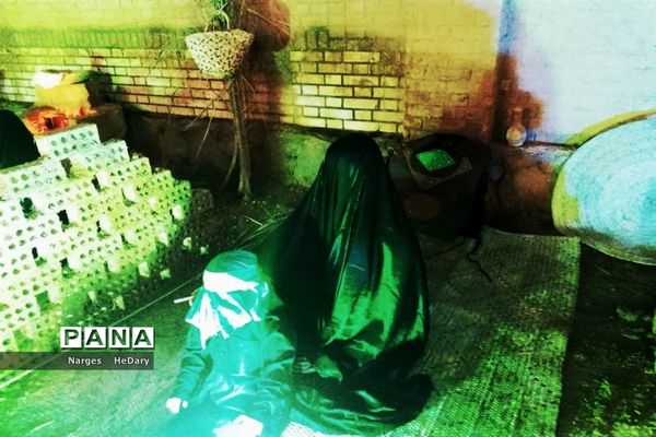 نمایشگاه یاس کبود در شهرستان امیدیه