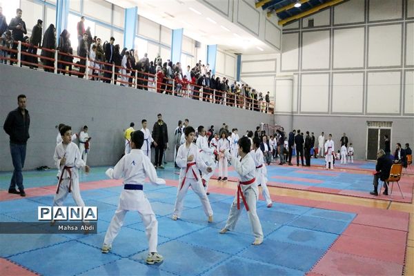 برگزاری نخستین دوره مسابقات قهرمانی کاپ شوتوکان کاراته بین المللی استان فارس