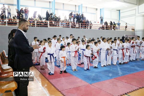 برگزاری نخستین دوره مسابقات قهرمانی کاپ شوتوکان کاراته بین المللی استان فارس