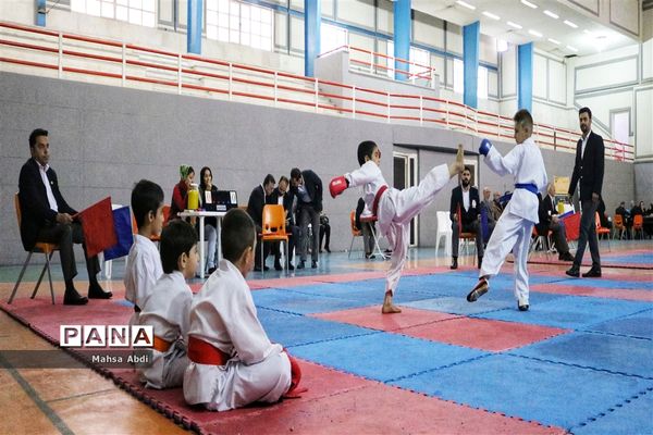 برگزاری نخستین دوره مسابقات قهرمانی کاپ شوتوکان کاراته بین المللی استان فارس