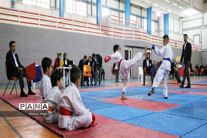 برگزاری نخستین دوره مسابقات قهرمانی کاپ شوتوکان کاراته بین المللی استان فارس