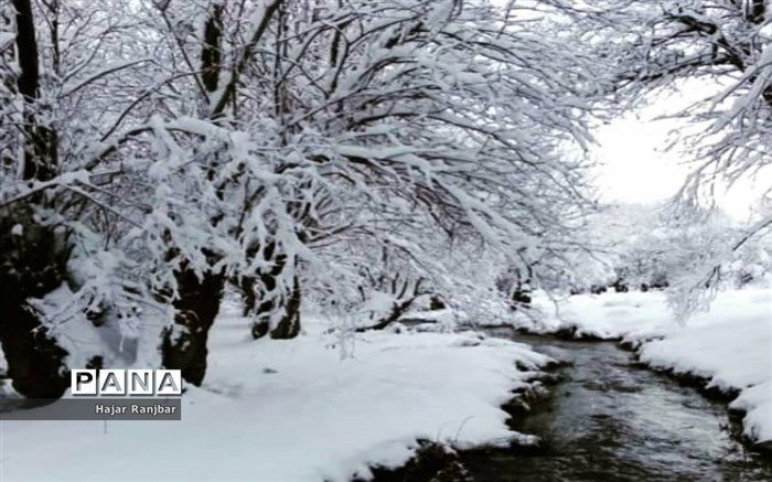 هوا ۱۵ درجه سردتر می‌شود