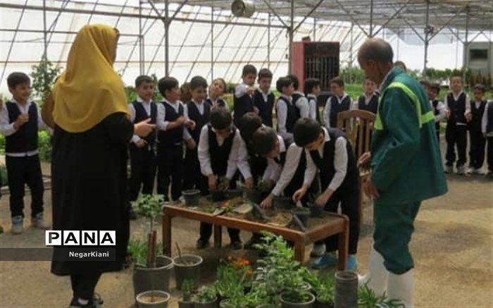 برگزاری کلاس‌های آموزش فضای سبز برای دانش‌آموزان باقرشهر