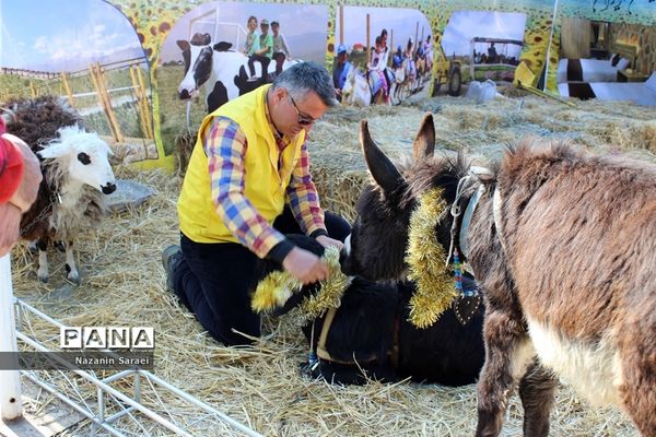 سیزدهمین دوره نمایشگاه بین المللی گردشگری و صنایع دستی تهران