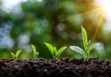 انگیزشی برای دانش‌آموزان کم‌انگیزه و ضعیف