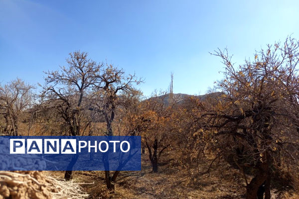 خزان زیبا در کوچه باغ‌های شهر بهمن