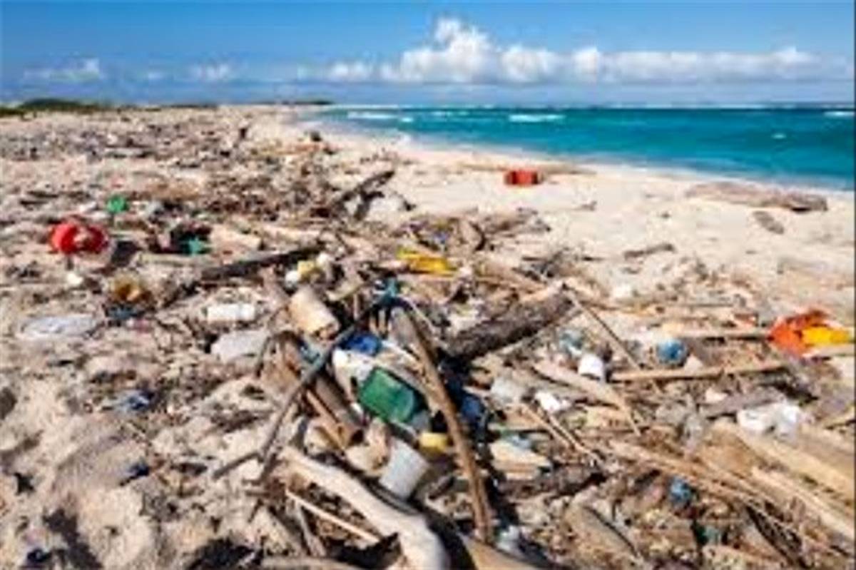 پلاستیک امان از سواحل و دریاها ربوده است