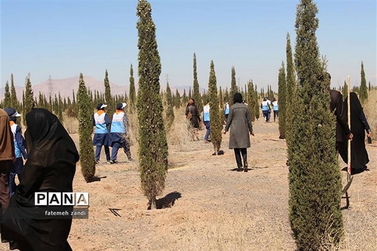 کاشت 150 هزار اصله نهال در روز درختکاری امسال در فارس