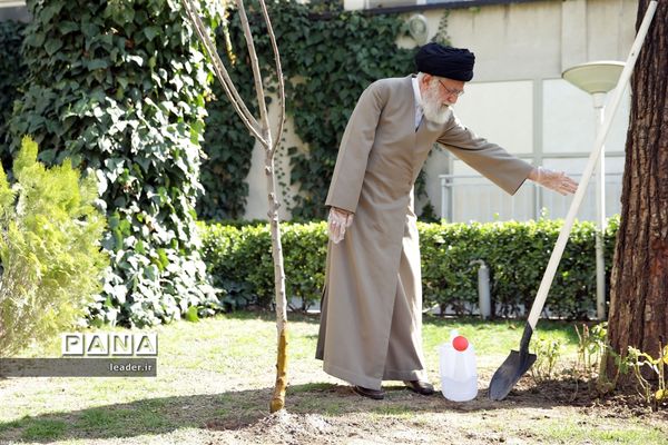 کاشت دو اصله نهال میوه توسط رهبر انقلاب اسلامی