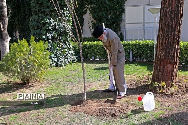 کاشت دو اصله نهال میوه توسط رهبر انقلاب اسلامی