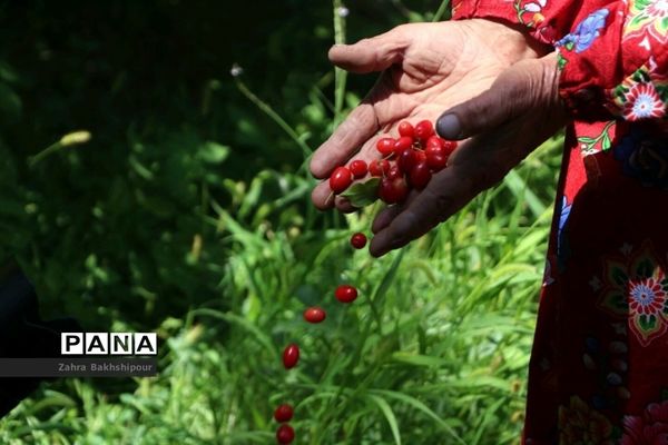عکس‌های منتخب سال 1398 استان آذربایجان شرقی