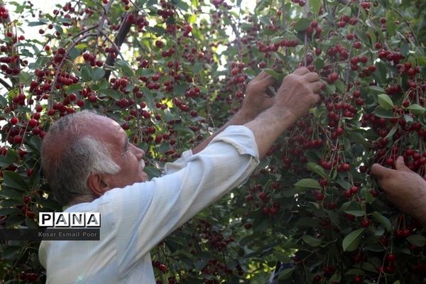 عکس‌های منتخب سال 1398 استان آذربایجان شرقی