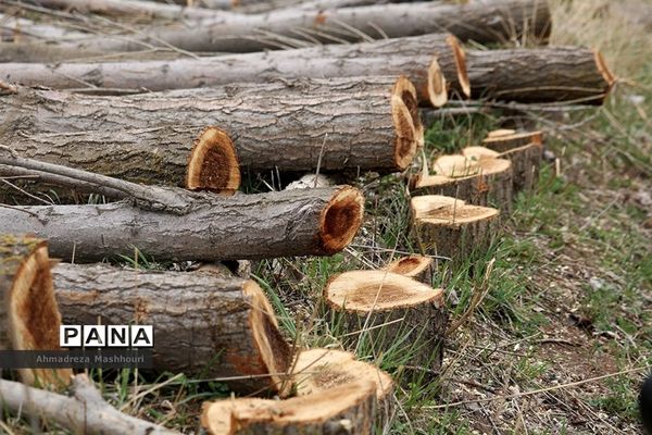 عکس‌های منتخب سال 1398 استان آذربایجان شرقی