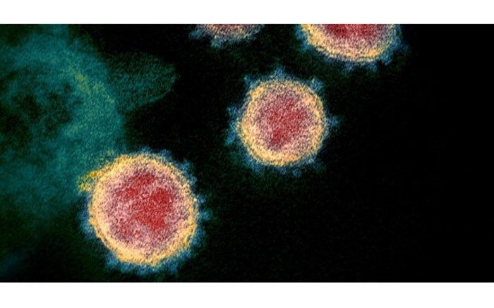 کروناویروس چگونه سلول‌های انسان را آلوده می‌کند؟