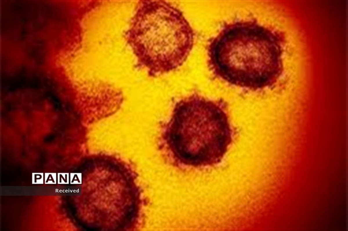 آمار مبتلایان به ویروس کرونا در فارس به  ۱۹۹ نفر رسید
