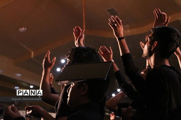 عکس‌های منتخب سال 1398 استان مازندران