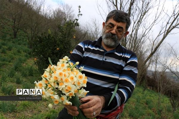 عکس‌های منتخب سال 1398 استان مازندران