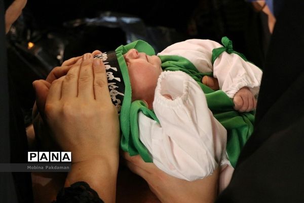 عکس‌های منتخب سال 1398 استان مازندران