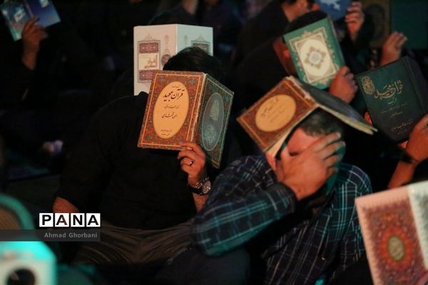 عکس‌های منتخب سال 1398 استان مازندران