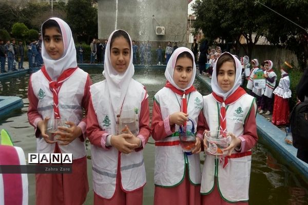 عکس‌های منتخب سال 1398 استان مازندران