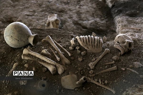 عکس‌های منتخب سال 1398 استان مازندران