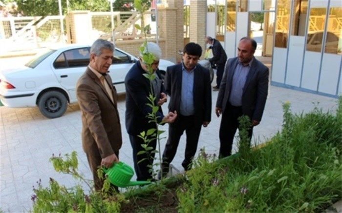 چند اصله نهال در آموزش و پرورش دشتستان کاشته شد