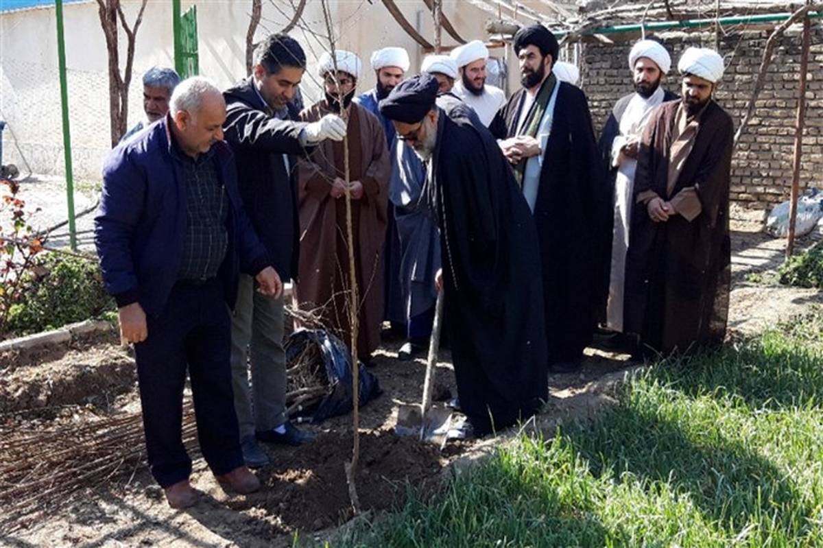 امام جمعه موقت شهرستان ورامین :درختکاری ترویج یک الگو و سنت حسنه است