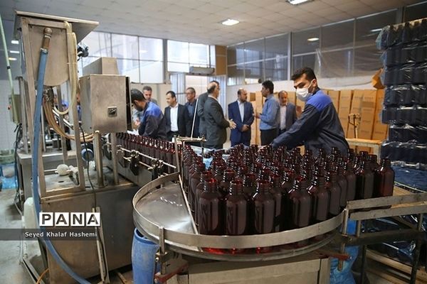 بازدید معاون هماهنگی امور اقتصادی استانداری بوشهر از شرکت دانش بنیان دانشگاه خلیج فارس