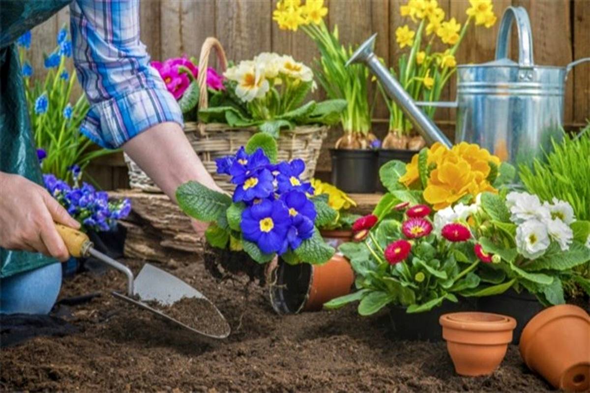 به هوای بهار باغبانی کنید