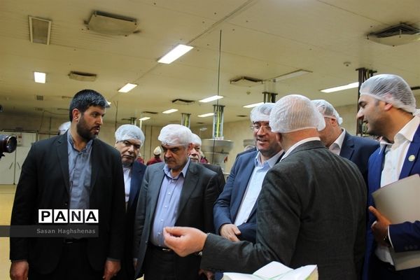 عکس‌های منتخب سال 1398  شهرستان‌های استان تهران