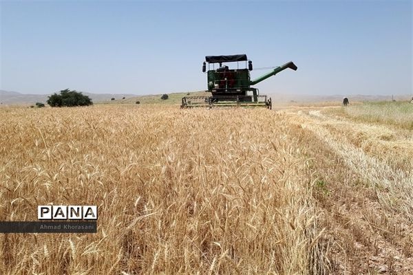 عکس‌های منتخب سال 1398 استان خوزستان