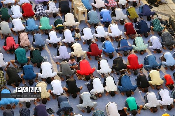 عکس‌های منتخب سال 1398 استان هرمزگان