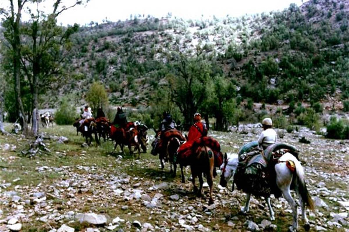 کوچ عشایر تا پایان فروردین ماه انجام می‌شود