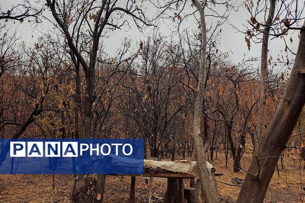 چهره شفاف و دل انگیز شهربارنیشابور با بارش  باران پاییزی  