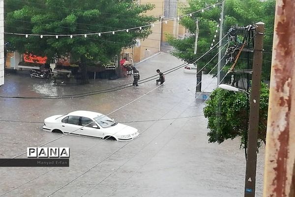 عکس‌های منتخب سال 1398 استان بوشهر